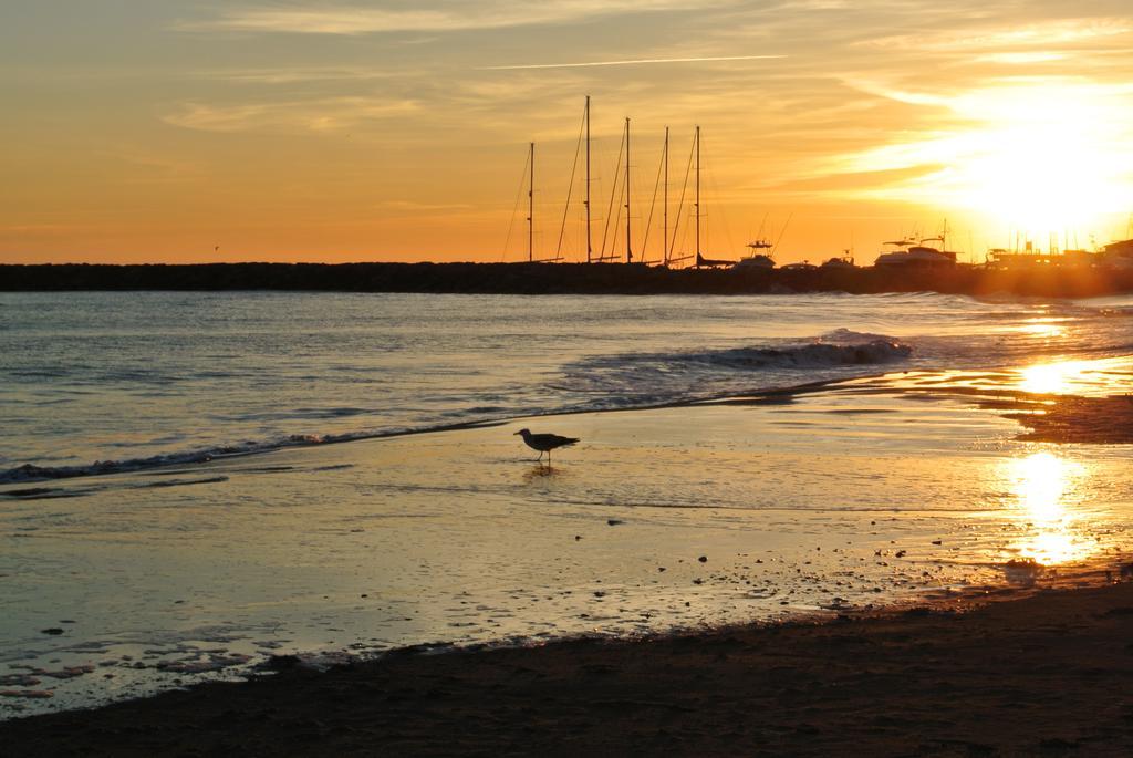 Hotel Les Palmiers En Camargue Saintes-Maries-de-la-Mer Bilik gambar