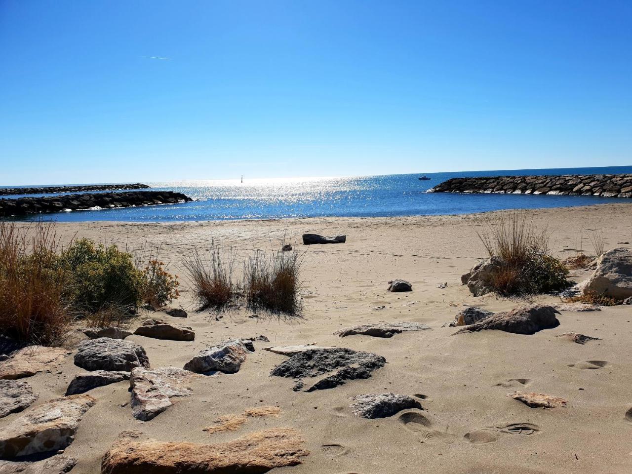 Hotel Les Palmiers En Camargue Saintes-Maries-de-la-Mer Luaran gambar