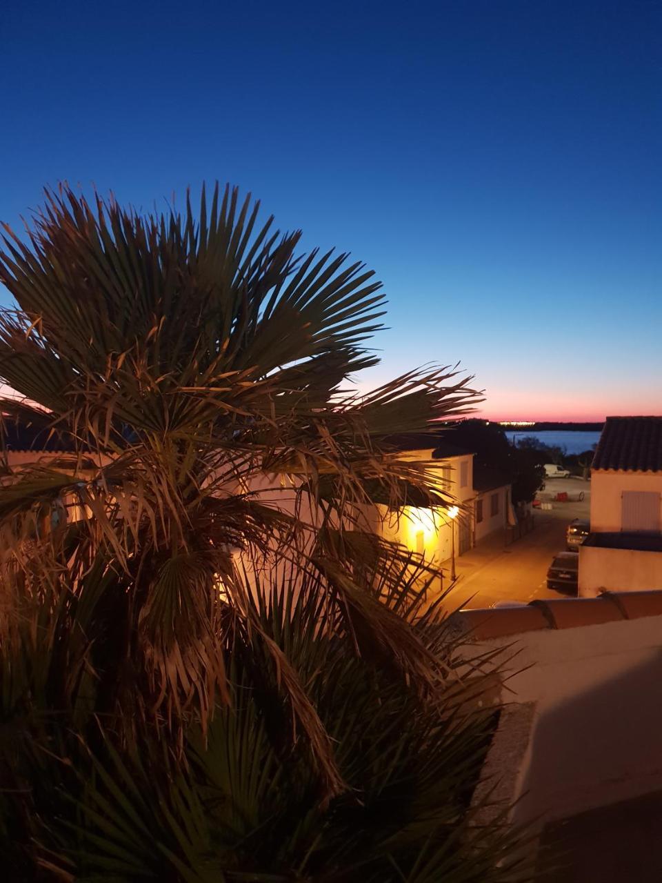 Hotel Les Palmiers En Camargue Saintes-Maries-de-la-Mer Luaran gambar